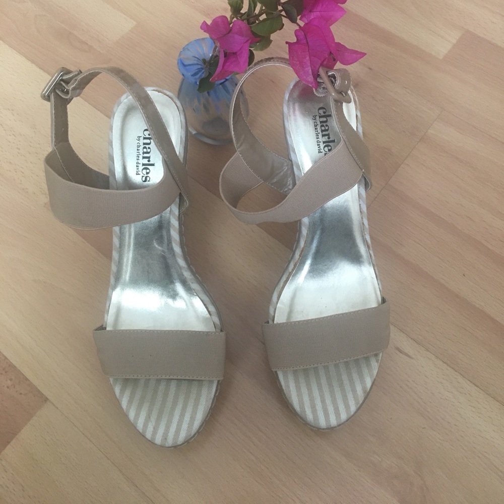 Charles David Wedge Platform Sandals